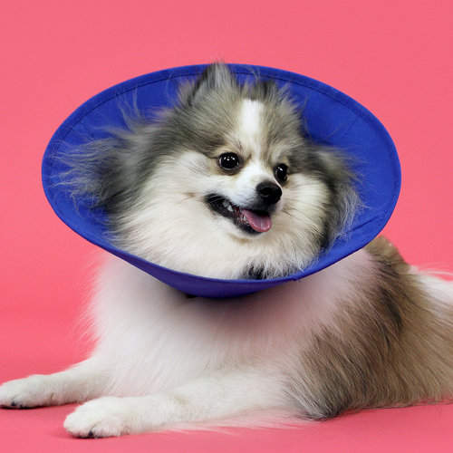 Miscota KVP Ez Soft Elizabethan Collar con Tessuto Novità