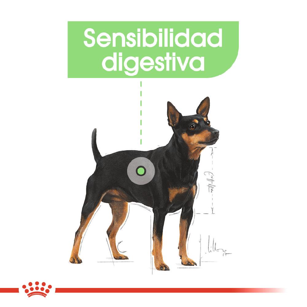 Miscota Royal Canin Mini Digestive Small Adult Digestive Sensitive Dog Nuova