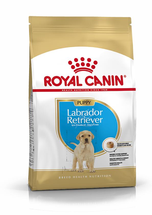 Miscota Royal Canin Cibo Secco per Cani Labrador Retriever Junior Moda