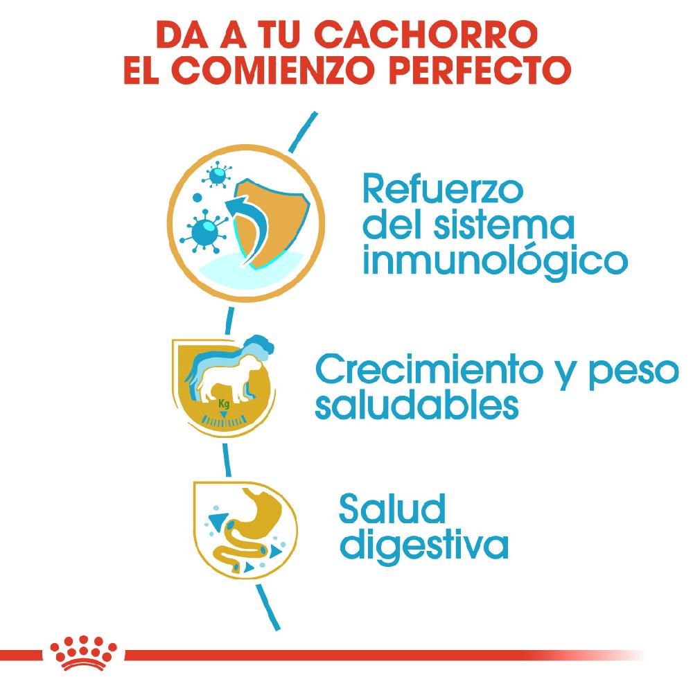 Miscota Royal Canin Cibo Secco per Cani Labrador Retriever Junior Moda
