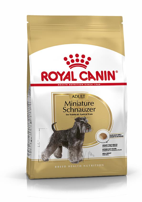 Miscota Royal Canin Cibo Secco per Cani Schnauzer Mini Adult Italy