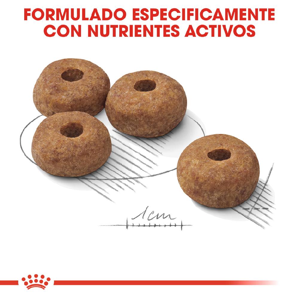Miscota Royal Canin Medium Sterilised Adult Sterilized Medium Adult Dog Food Italia