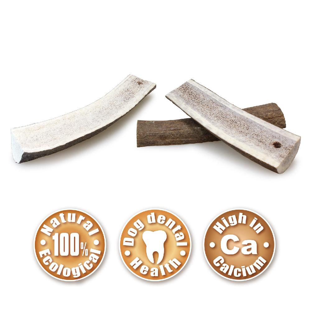 Miscota Arquivet Snack Dentale Mezzo Corno di Cervo Pezzi Unici