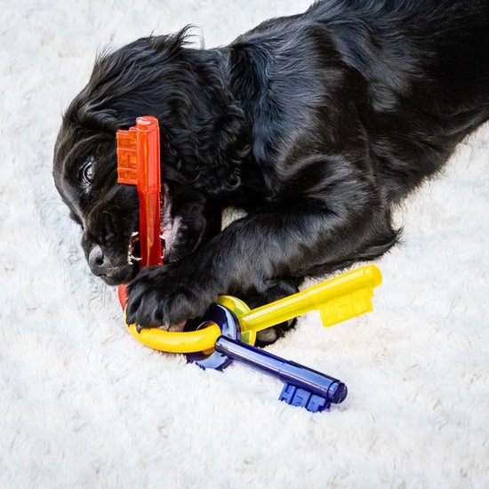 Miscota Nylabone Chiavi per la dentizione Moda