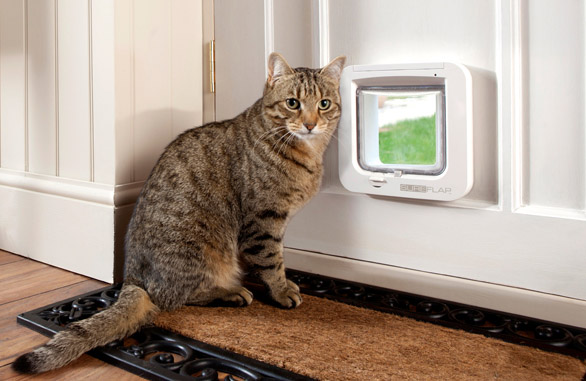 Miscota Sure Petcare SureFlap Porta per Animali Bianco In Vendita