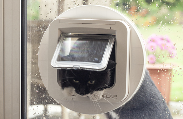 Miscota Sure Petcare SureFlap Porta per Animali Bianco In Vendita