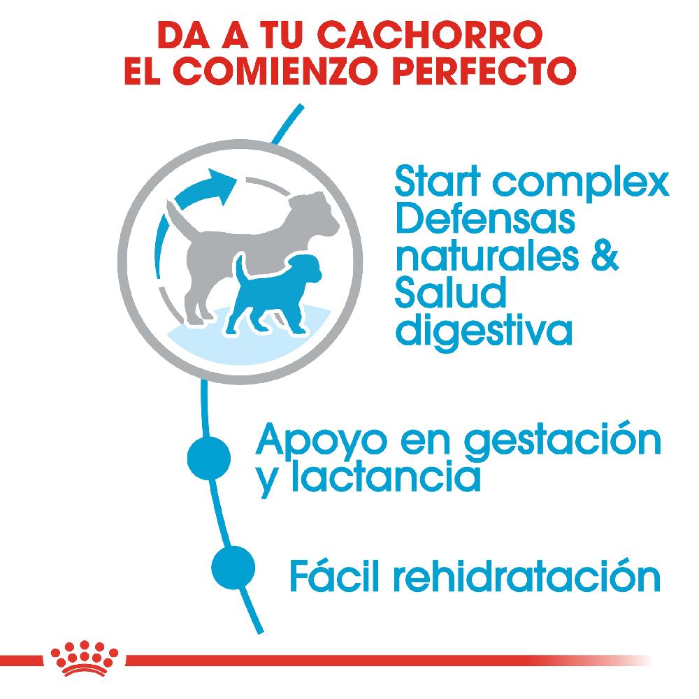 Miscota Royal Canin Cibo Secco per Cani Starter Mini Mother & Babe Dog 2025