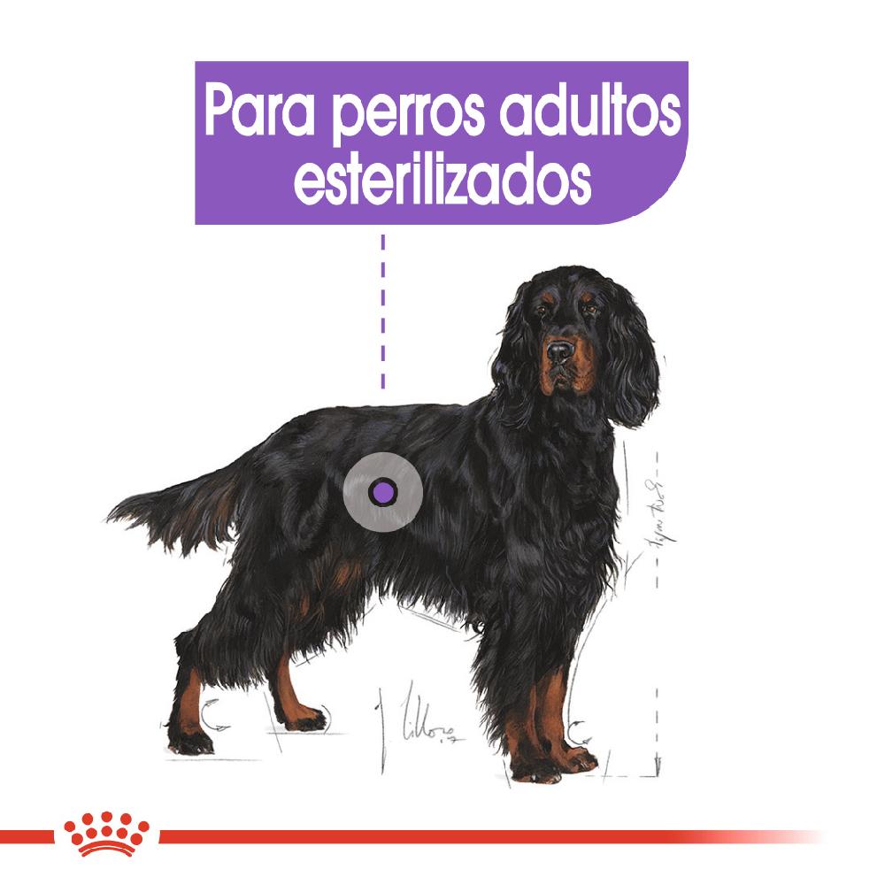 Miscota Royal Canin Maxi Sterilised Sterilised Adult Dog Food Promozione