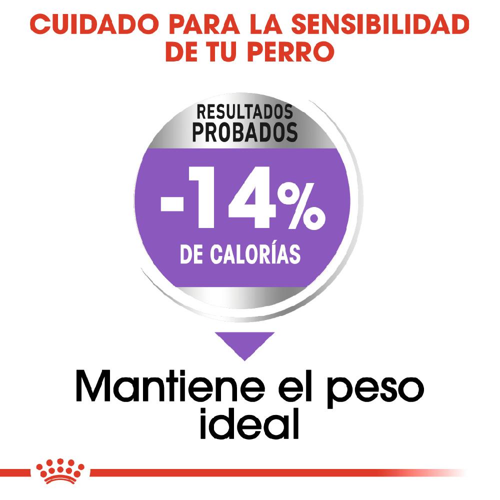 Miscota Royal Canin Maxi Sterilised Sterilised Adult Dog Food Promozione