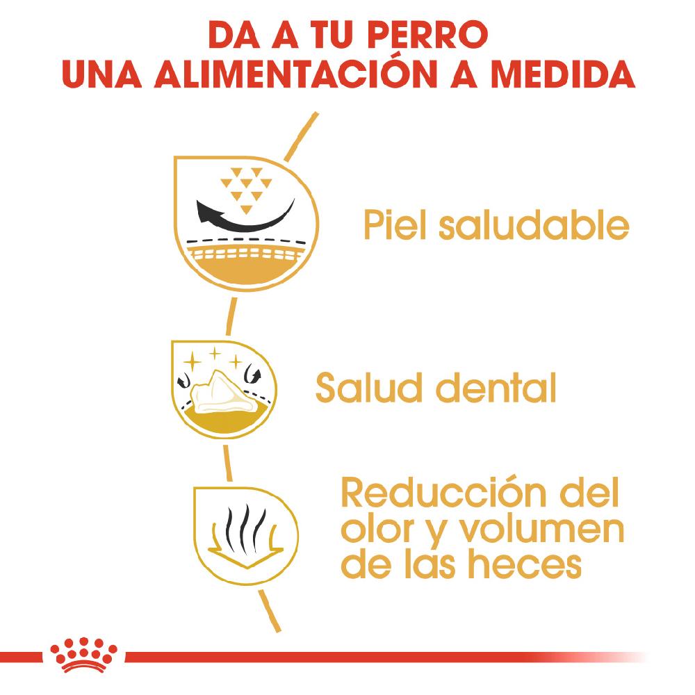 Miscota Royal Canin Cibo Secco per Cani Shih Tzu Adult Negozi Online