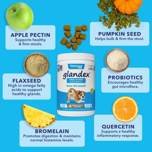 Miscota JTPharma Complemento per Cani Glandulex Ritorno libero