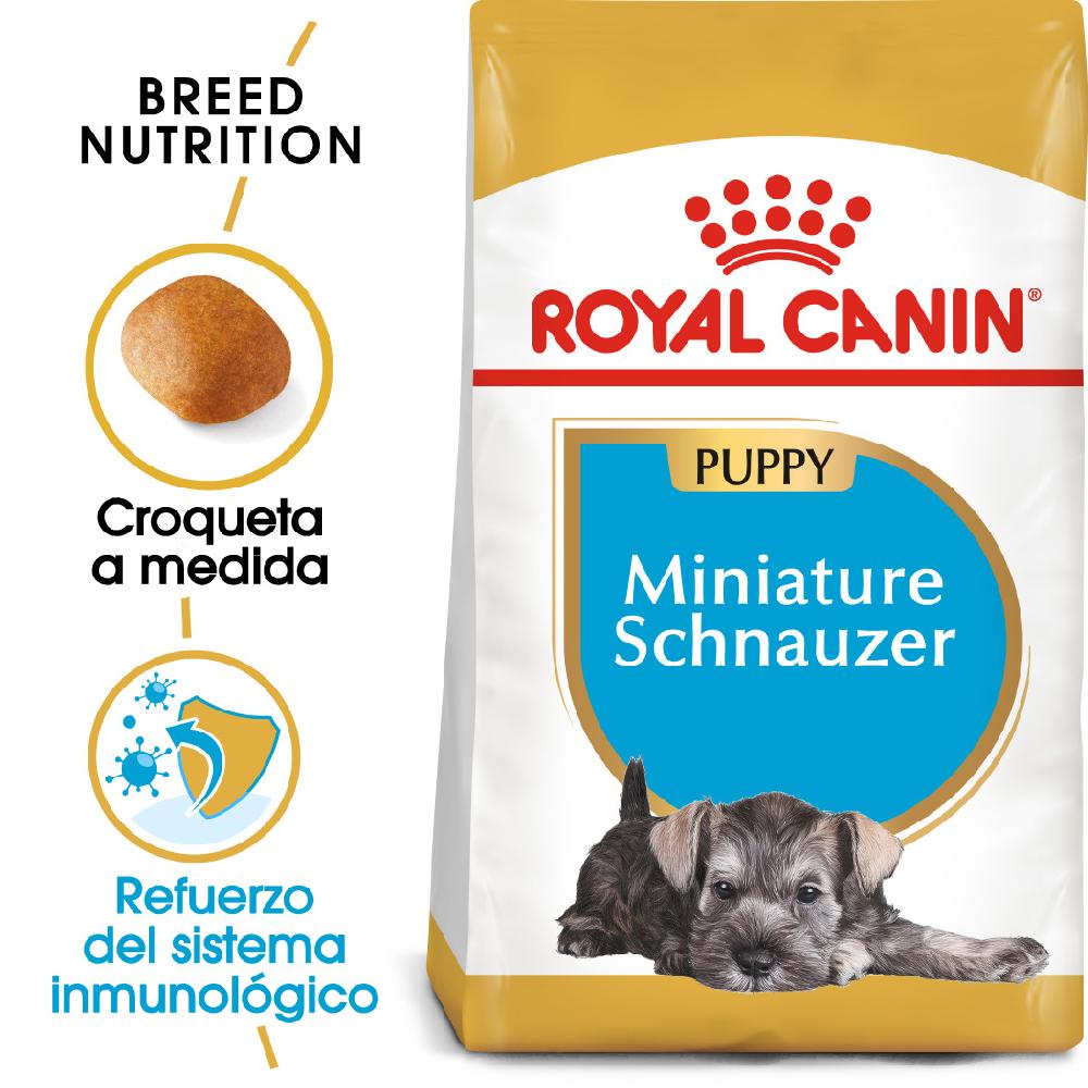 Miscota Royal Canin Cibo Secco per Cani Miniature Schnauzer Junior Ultimo giorno