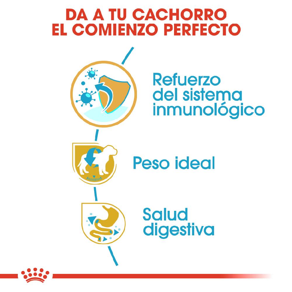 Miscota Royal Canin Cibo Secco per Cani Miniature Schnauzer Junior Ultimo giorno