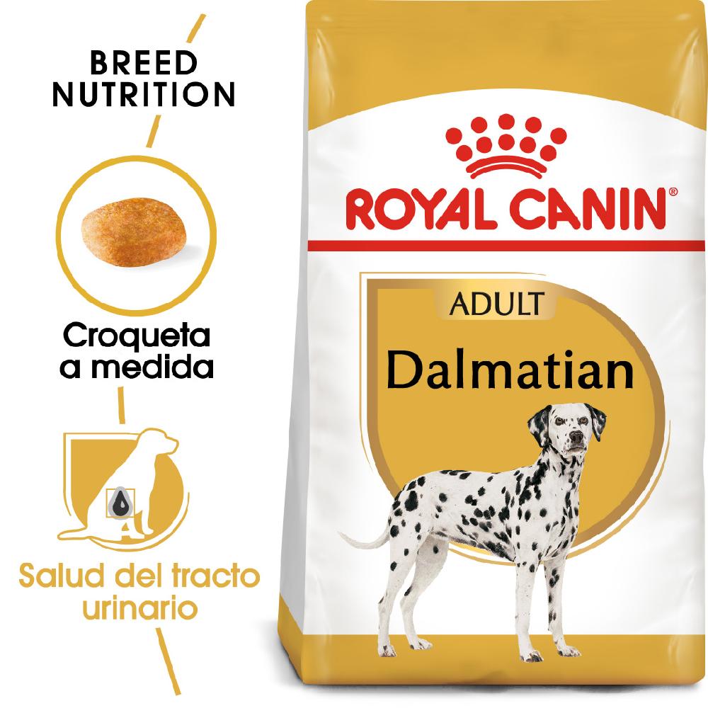 Miscota Royal Canin Cibo Secco per Cani Dalmatian Adulto Fino al 60% di sconto