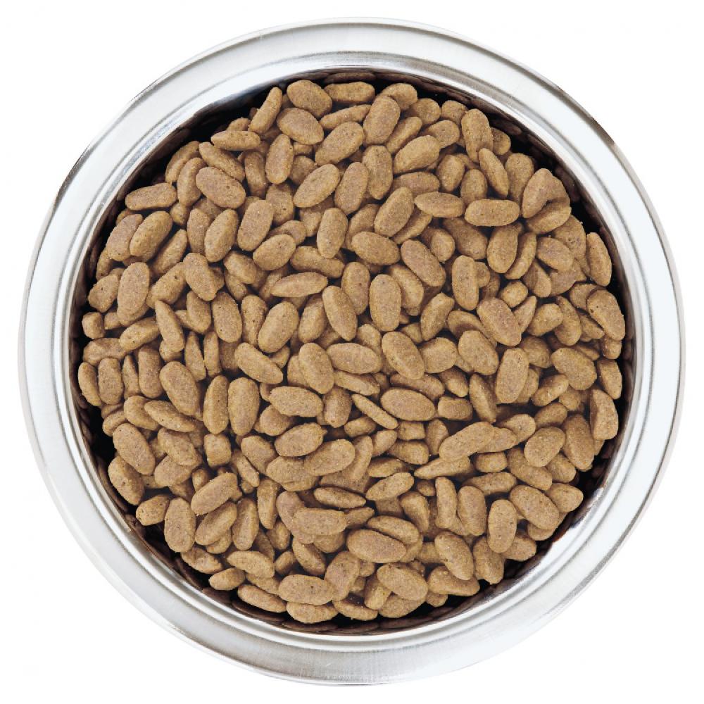 Miscota Purina Pro Plan Optiderma Adulti Salmone Small/Mini Discount Store per i nuovi prodotti