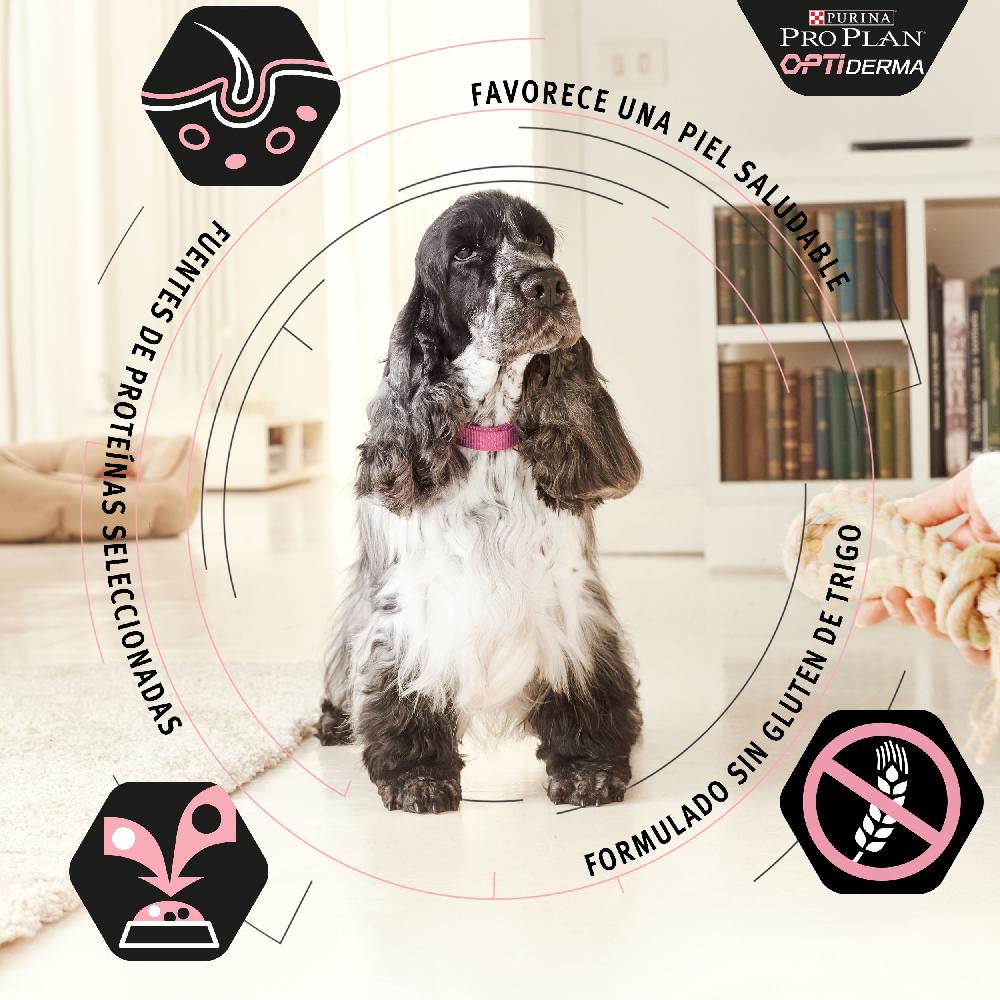 Miscota Purina Pro Plan Optiderma Adulti Salmone Small/Mini Discount Store per i nuovi prodotti