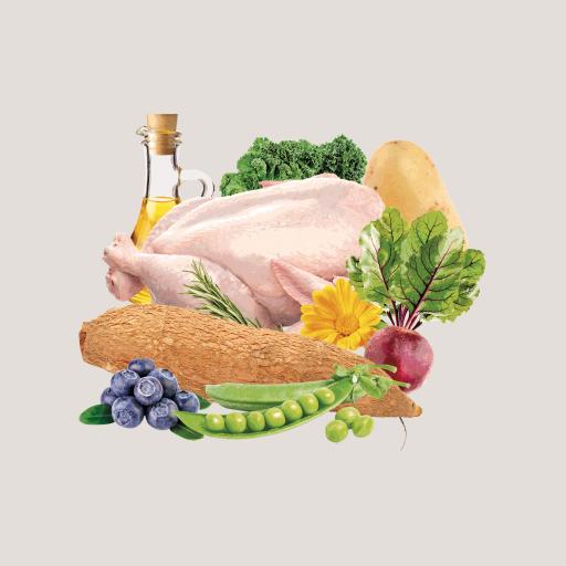 Miscota Traveness Cibo Naturale Ricetta di Pollo Puppy & Junior Senza Cereali Italia