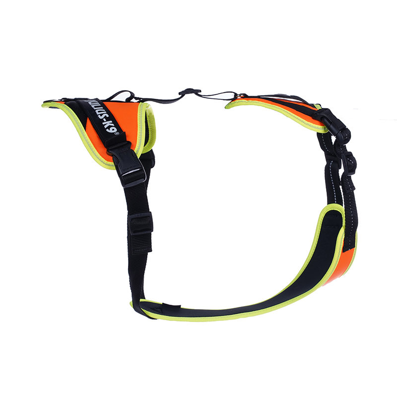 Miscota Julius K9 Pettorina Mantrailing arancione e neon per cani Economico