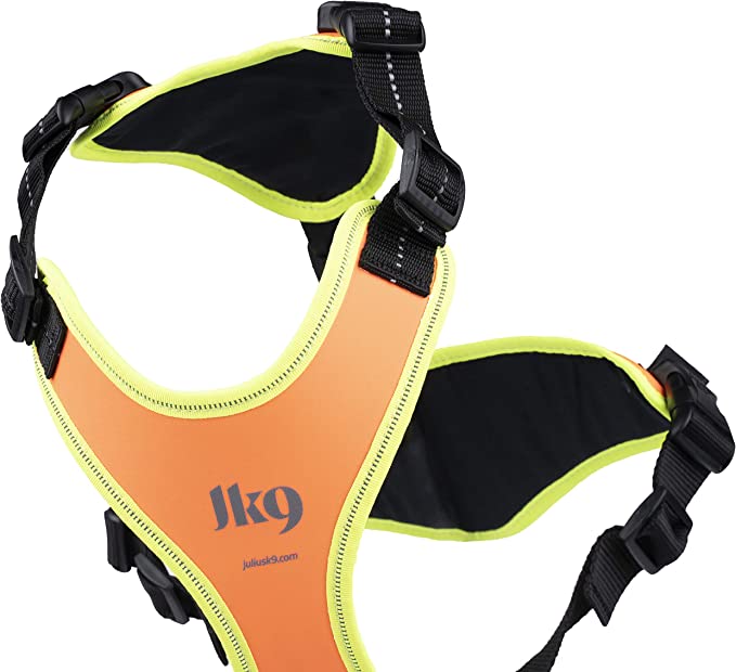 Miscota Julius K9 Pettorina Mantrailing arancione e neon per cani Economico