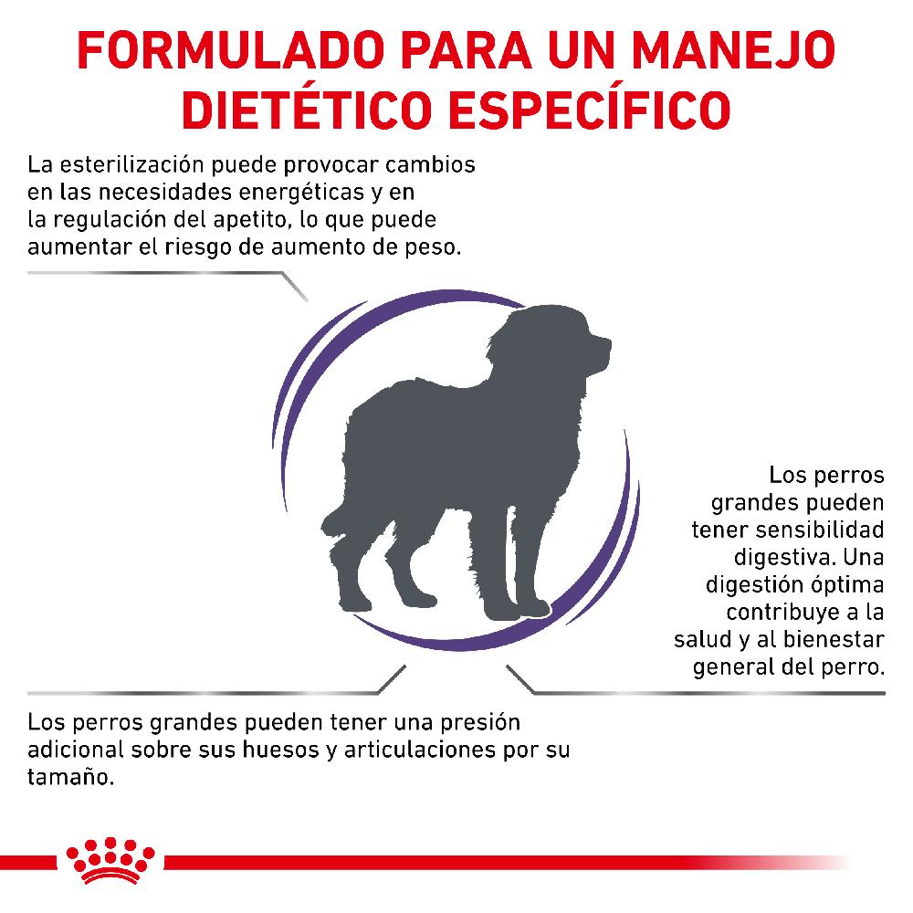 Miscota Royal Canin Cibo Secco per Cani Neutered Adult Large Dog Vendita Economica