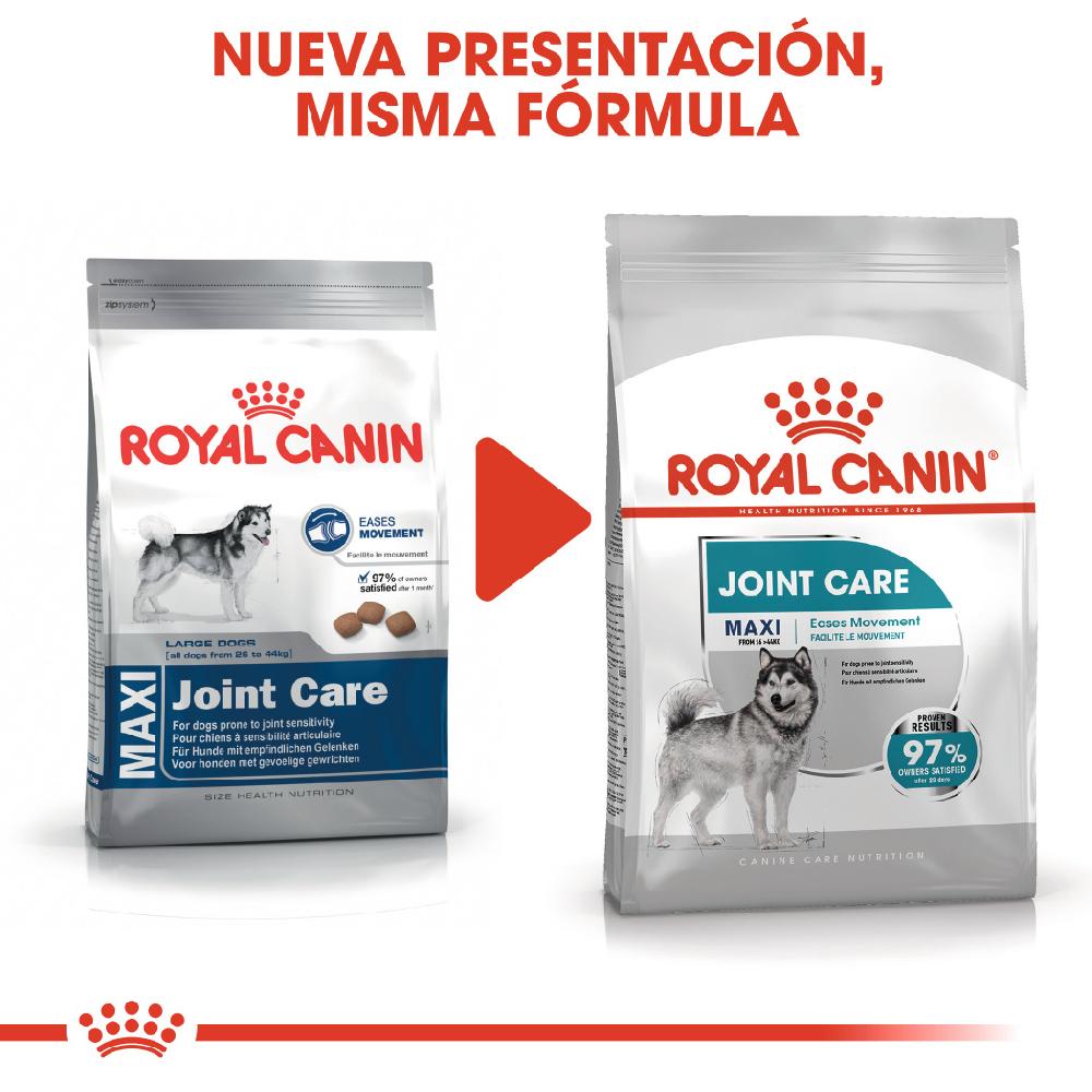 Miscota Royal Canin Maxi Joint Care Large Adult Food con sensibilità alle articolazioni Negozio