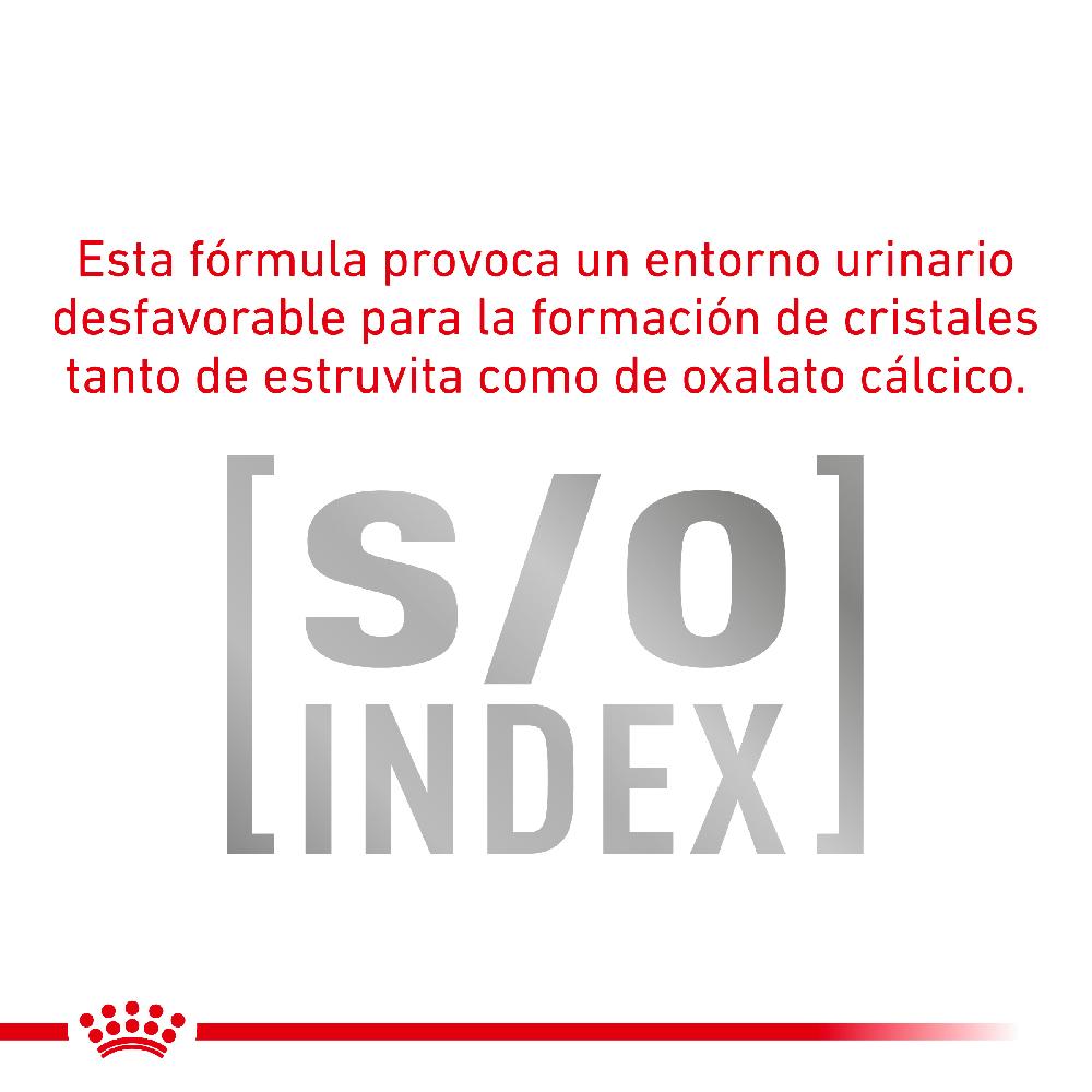 Miscota Pacco 12 Royal Canin Cibo Umido per Cani Diabetic Special Low Carbohydrat Spedizione gratuita