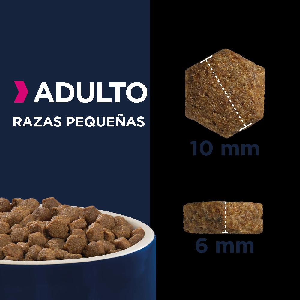 Miscota Eukanuba Mantenimento adulti di piccola taglia Sconto di tempo limitato