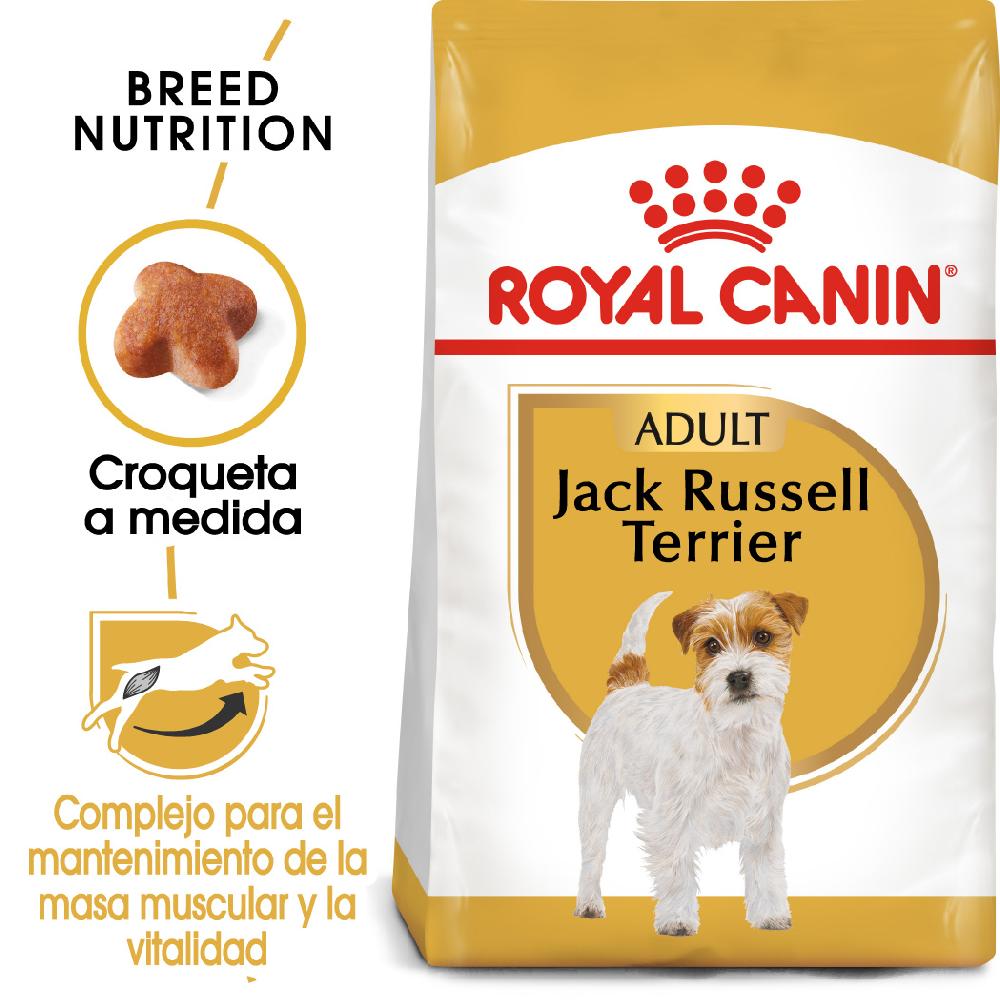 Miscota Royal Canin Cibo Secco per Cani Jack Russell Adult Cyber Monday