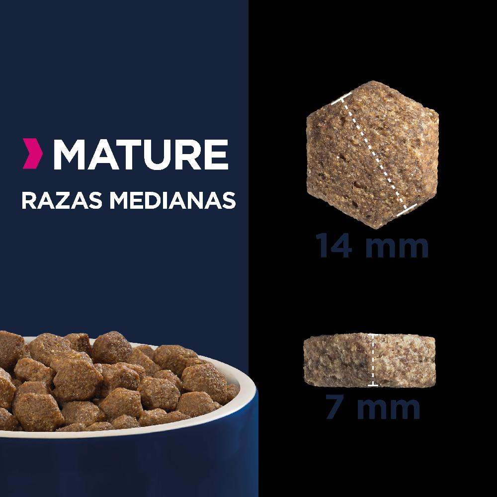 Miscota Eukanuba Razza media in età matura Offerta temporanea