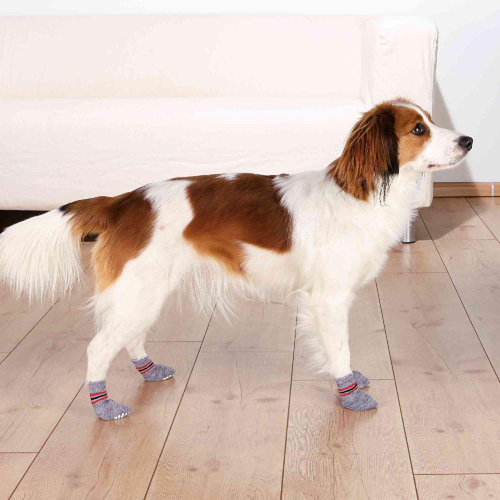 Miscota Trixie Calze grigie antiscivolo per cani Offerte esclusive