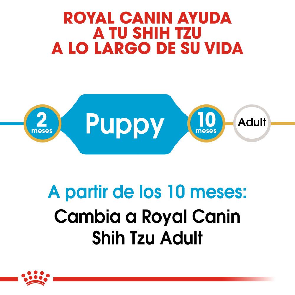 Miscota Royal Canin Cibo Secco per Cani Shih Tzu Junior Offerte giornaliere
