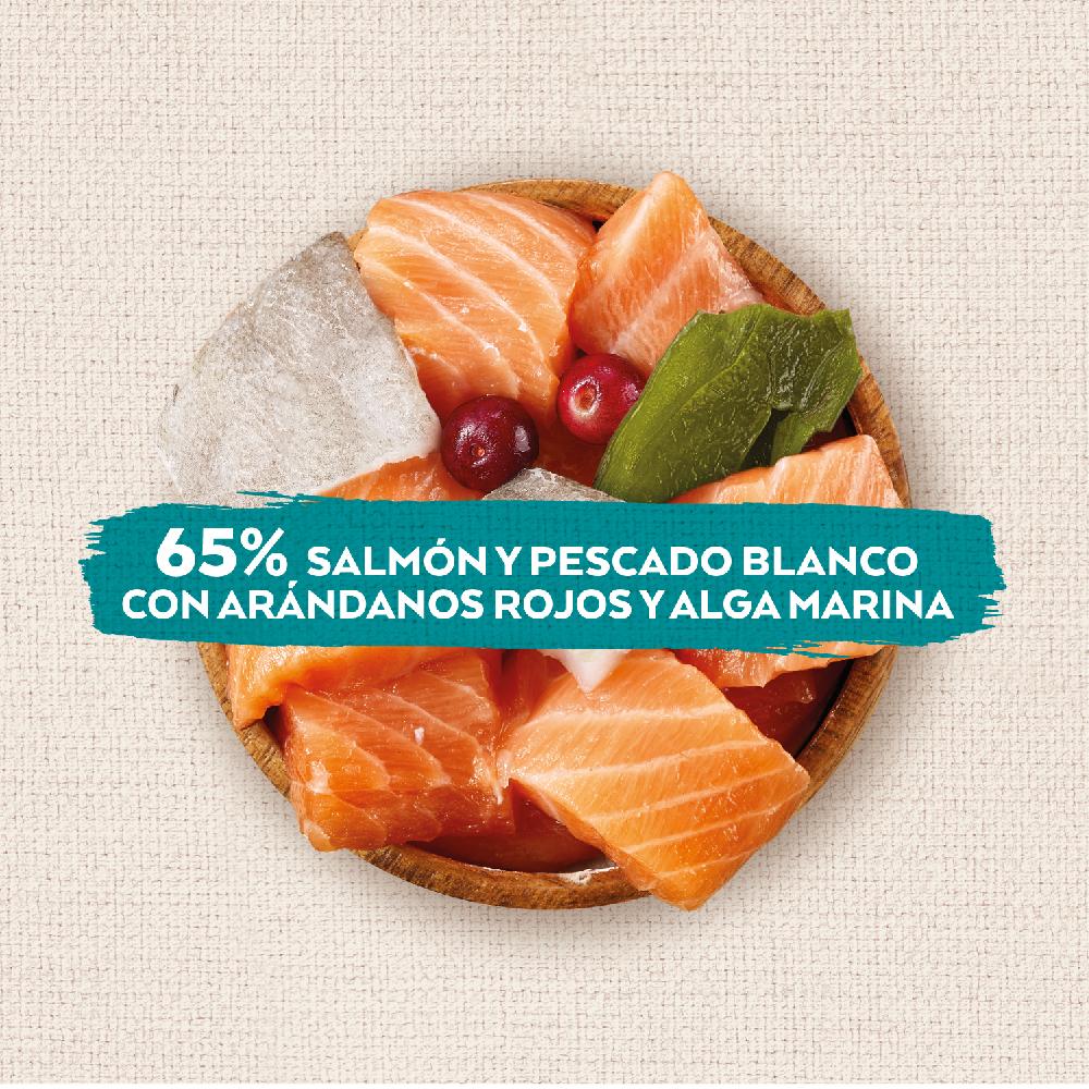 Miscota Nature's Variety Snacks Superfoods Salmone Solo un giorno rimasto