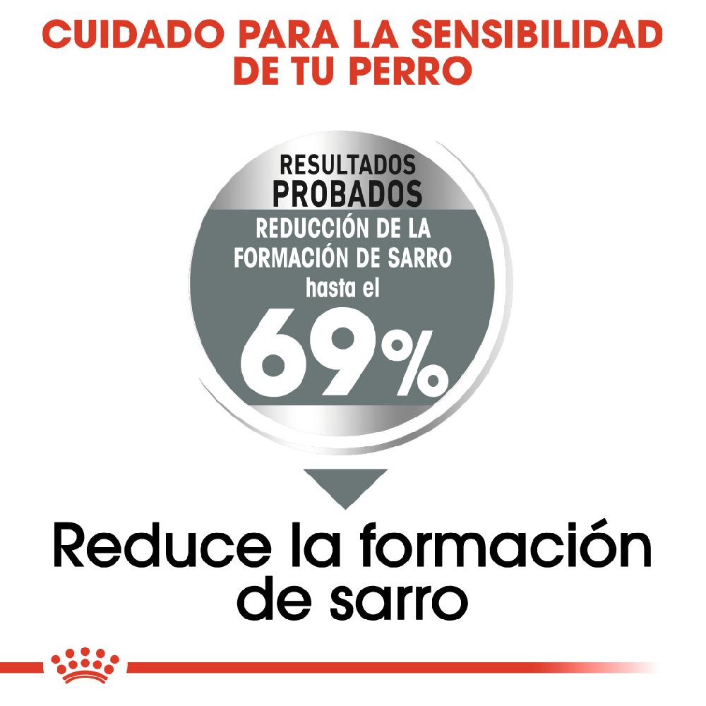 Miscota Royal Canin Mini Dental Care Esporta salva