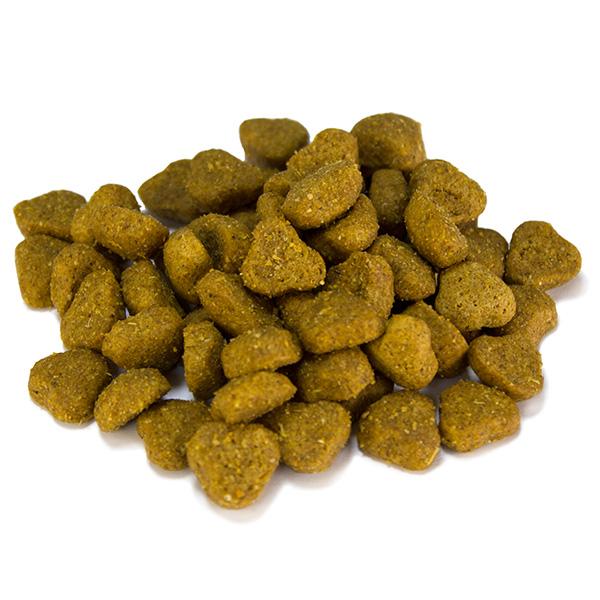 Miscota Arquivet Cibo Secco Adult Agnello e Riso Online