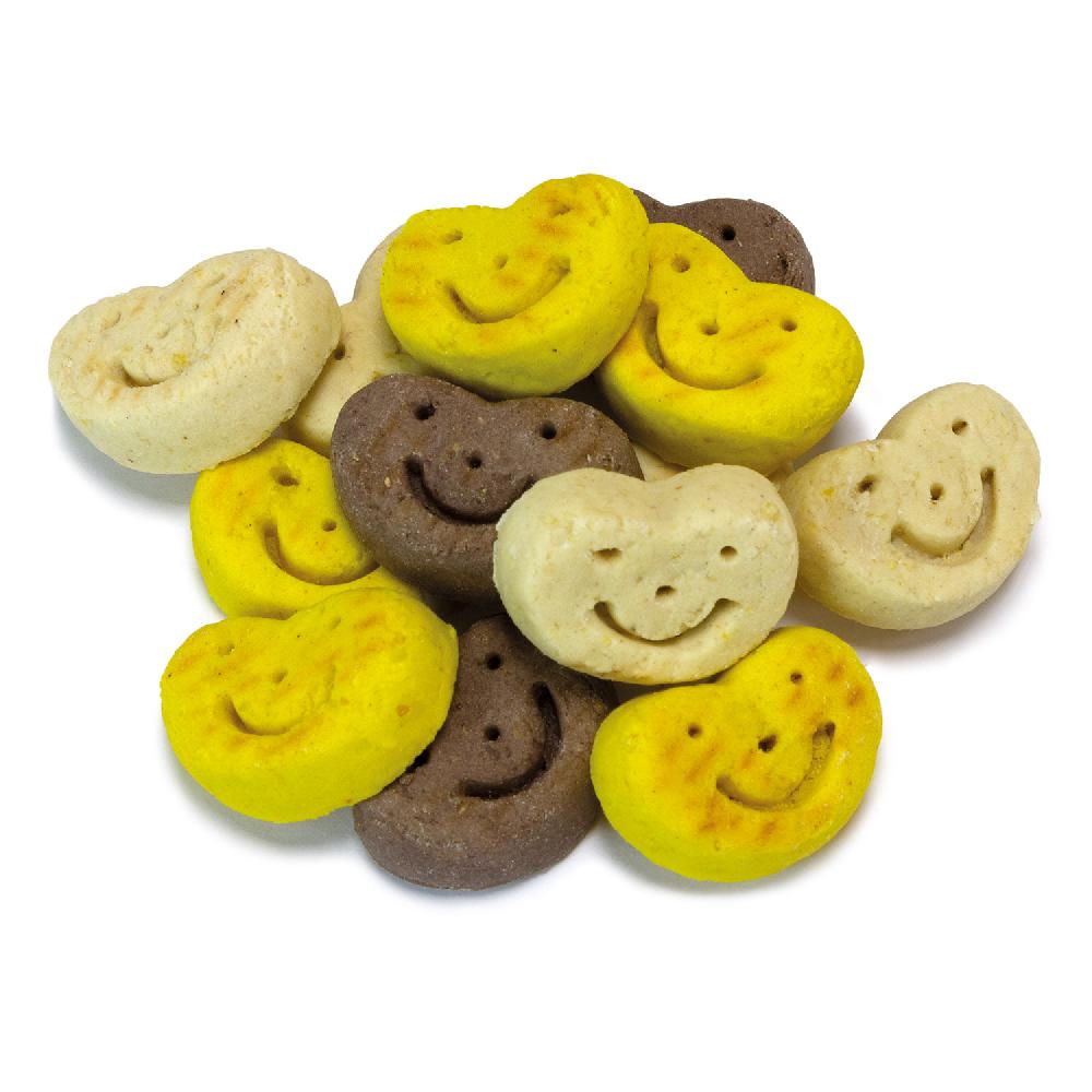 Miscota Arquivet Galletas Smiles para Perros Vendite Flash