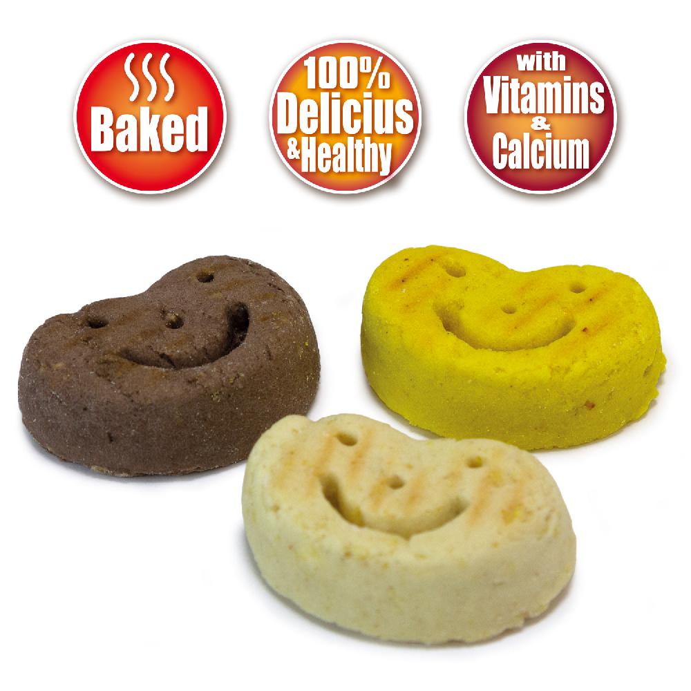 Miscota Arquivet Galletas Smiles para Perros Vendite Flash