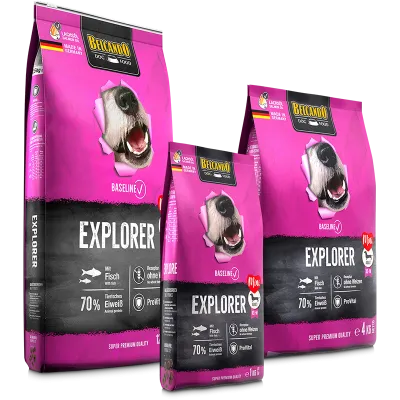 Miscota Belcando Pienso Baseline Explorer de Pescado para Perros Pequeños y Medianos Negozio online di fabbrica