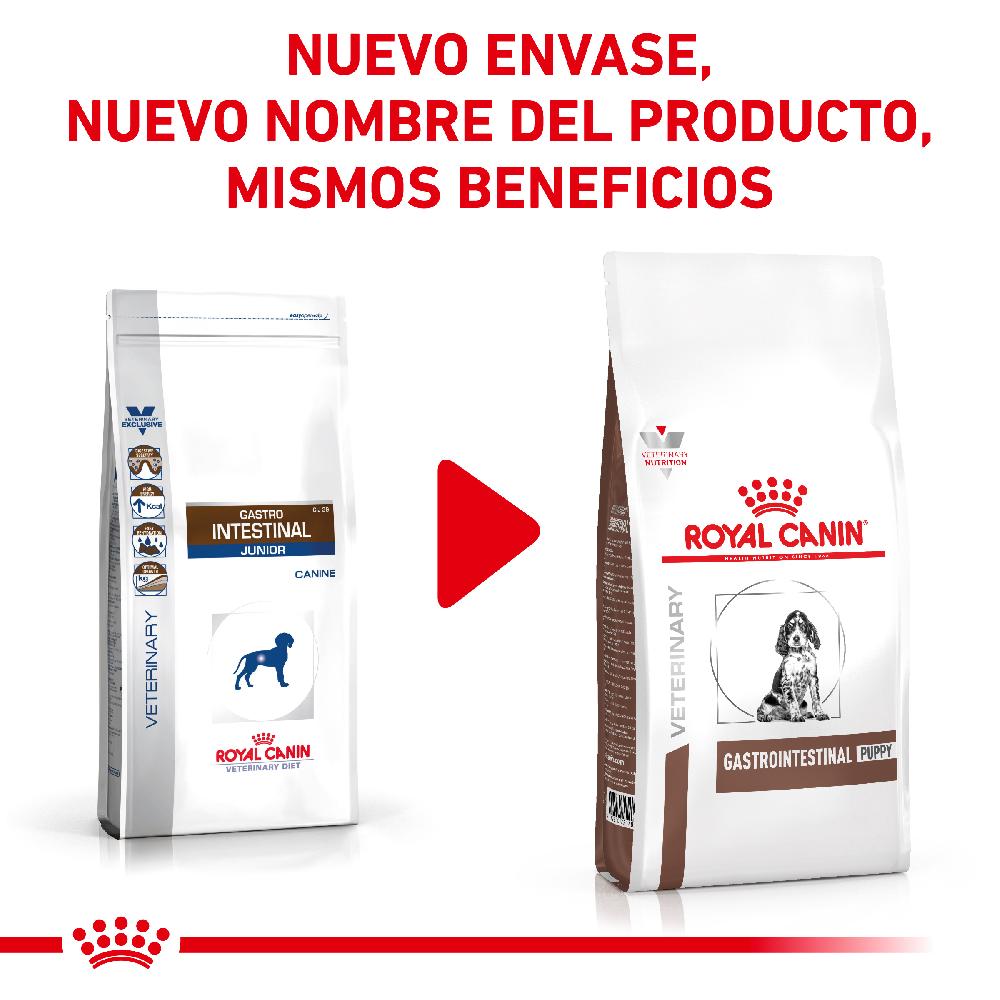 Miscota Royal Canin Cibo Secco per Cani Gastro Intestinalcanine Junior Flash Sale