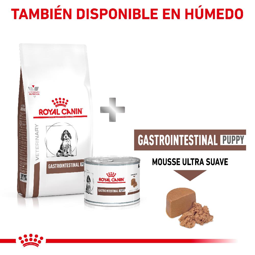 Miscota Royal Canin Cibo Secco per Cani Gastro Intestinalcanine Junior Flash Sale