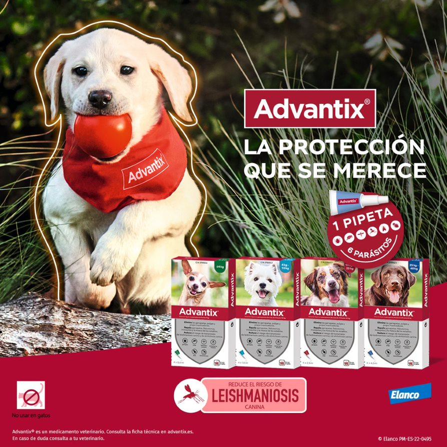 Miscota Advantix Pipetta Taglia Mini 1 5-4 Kg Shopping online