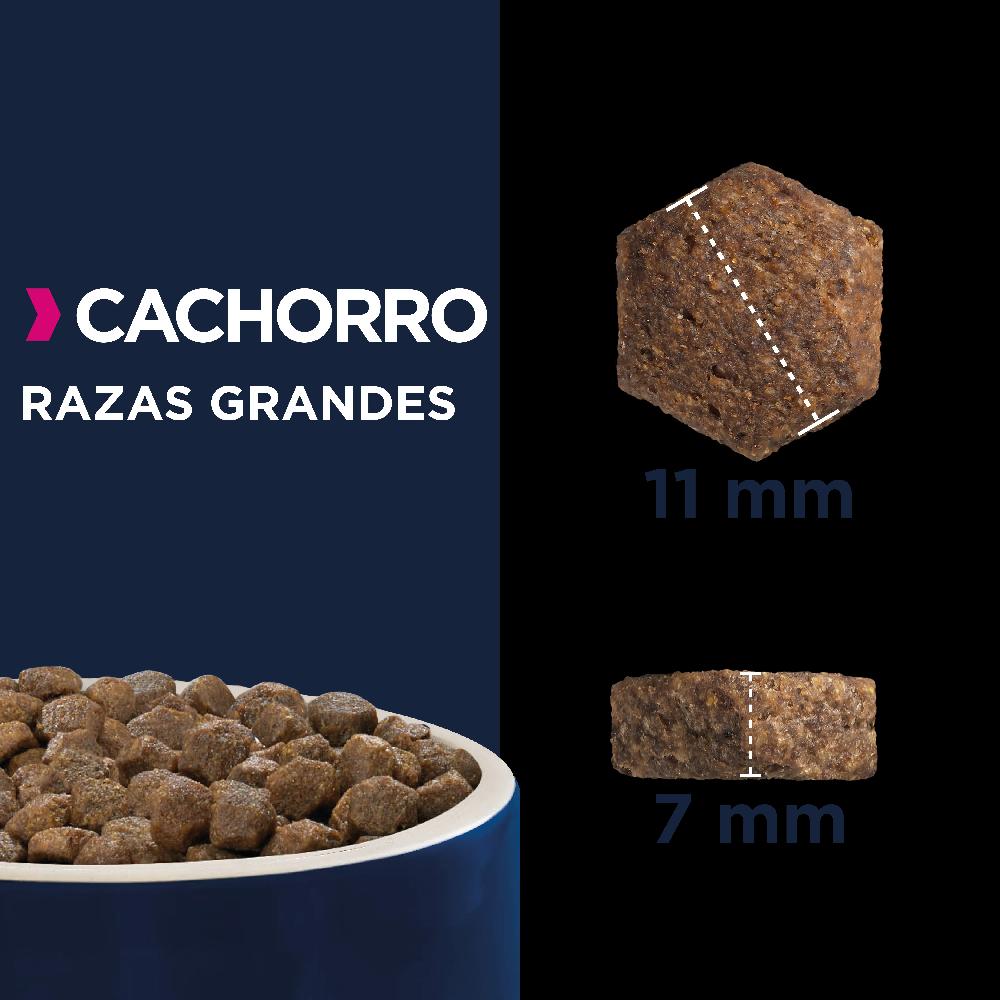 Miscota Eukanuba Cucciolo di razza grande Offerta esclusiva