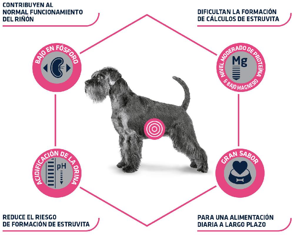 Miscota Advance Cibo Secco Veterinare Diet Urinare per Cani Vendite stagionali