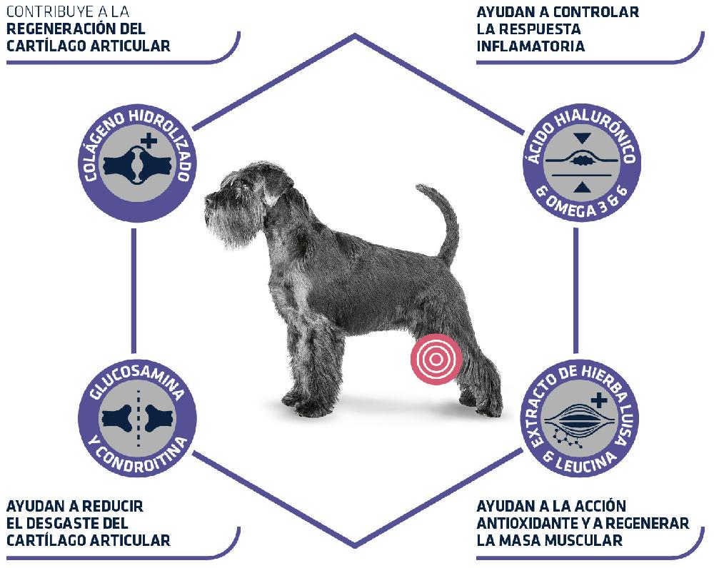 Miscota Advance Cibo Secco Articular Care +7 Anni Black Friday