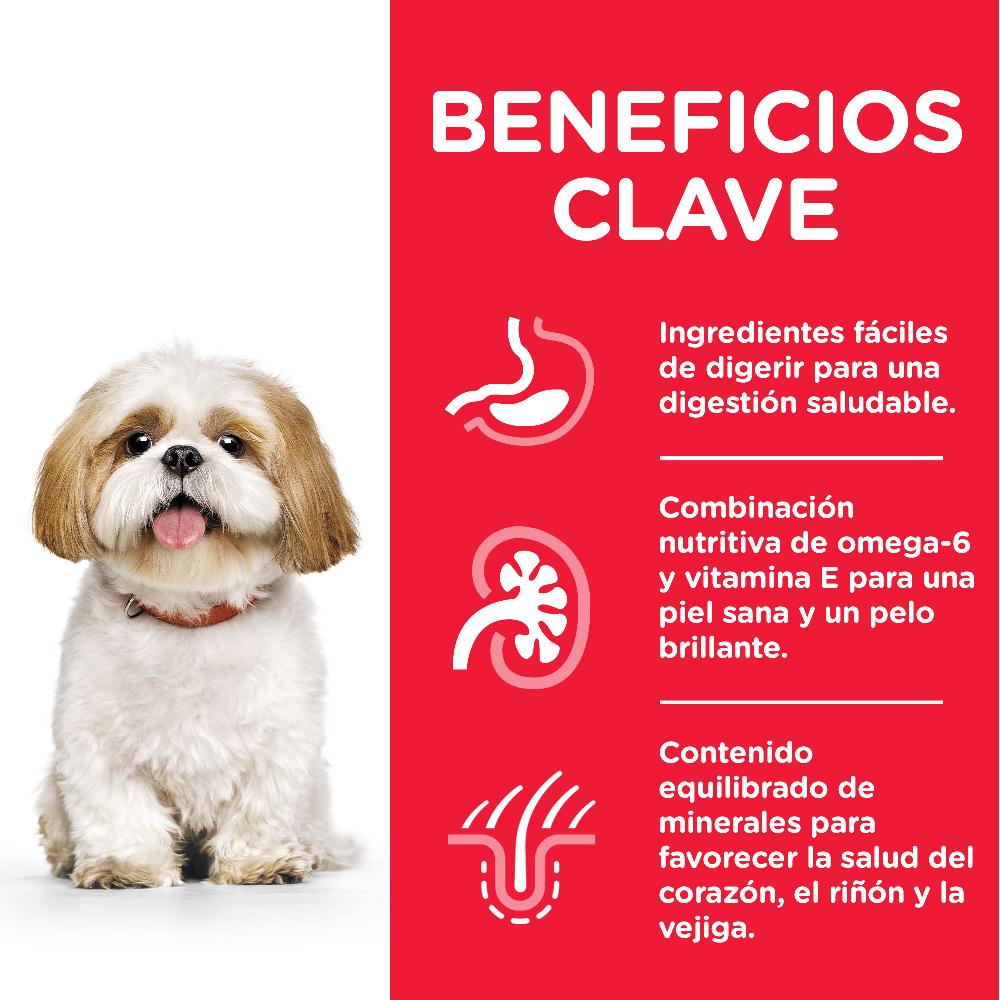 Miscota Hill's Science Plan Senior +7 Small & Mini con Pollo Comprane uno, ottenene uno gratis