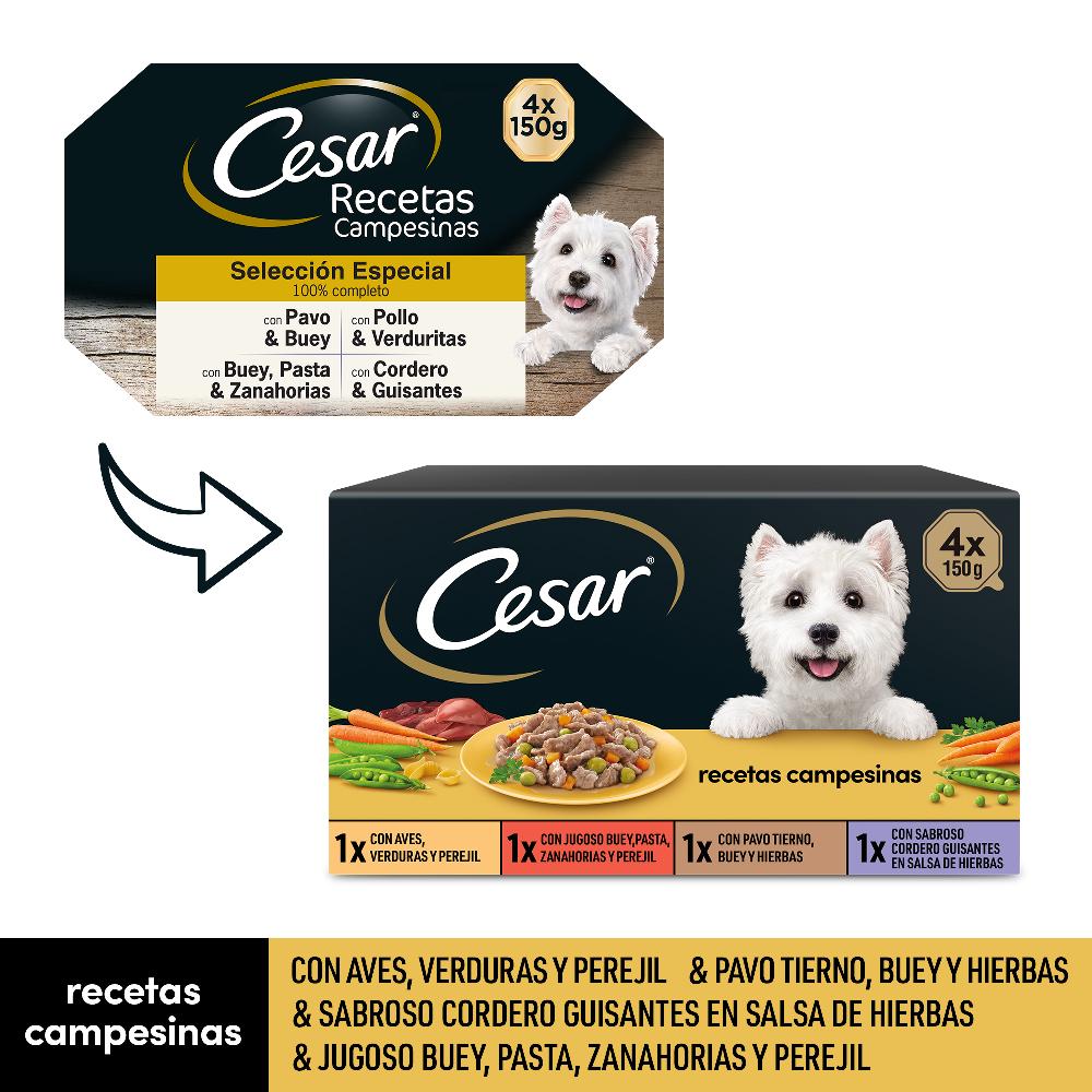 Miscota Cesar Cibo umido per cani Selezione Country Ricette in salsa multipack Rilascio limitato