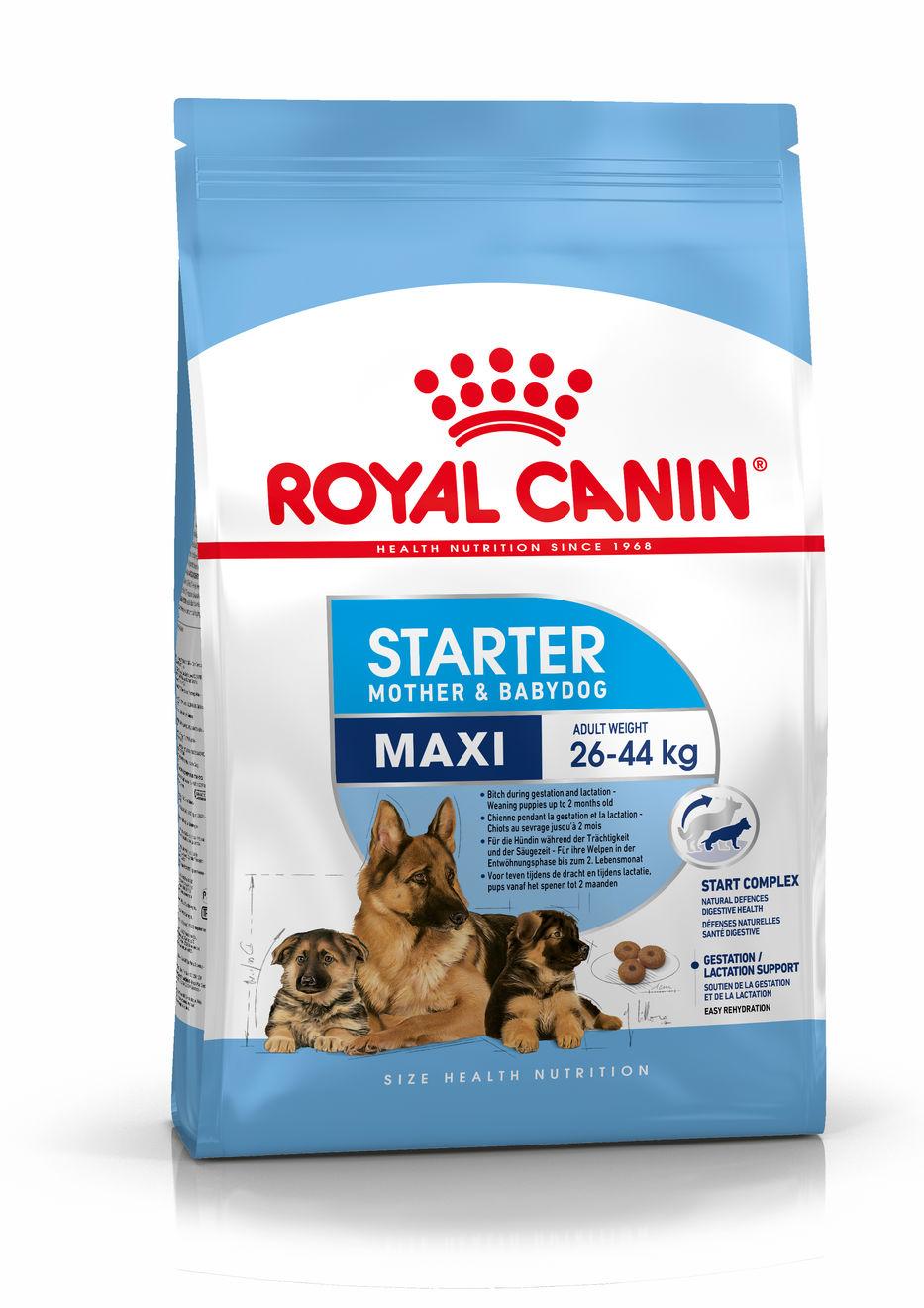 Miscota Royal Canin Cibo Secco per Cani Starter Maxi Mother & Babe Dog Limitato a 3 giorni