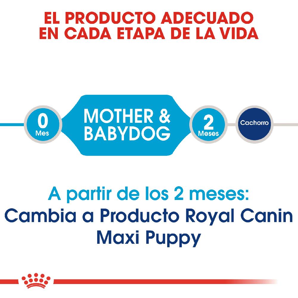 Miscota Royal Canin Cibo Secco per Cani Starter Maxi Mother & Babe Dog Limitato a 3 giorni