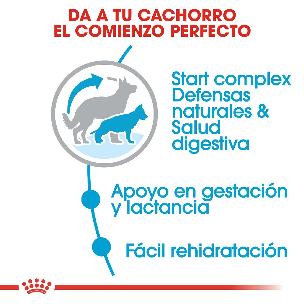 Miscota Royal Canin Cibo Secco per Cani Starter Maxi Mother & Babe Dog Limitato a 3 giorni