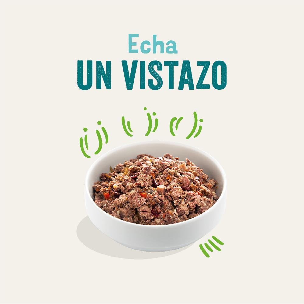 Miscota Edgard & Cooper Adult Lattina Senza Cereali Con Agnello E Manzo Outlet