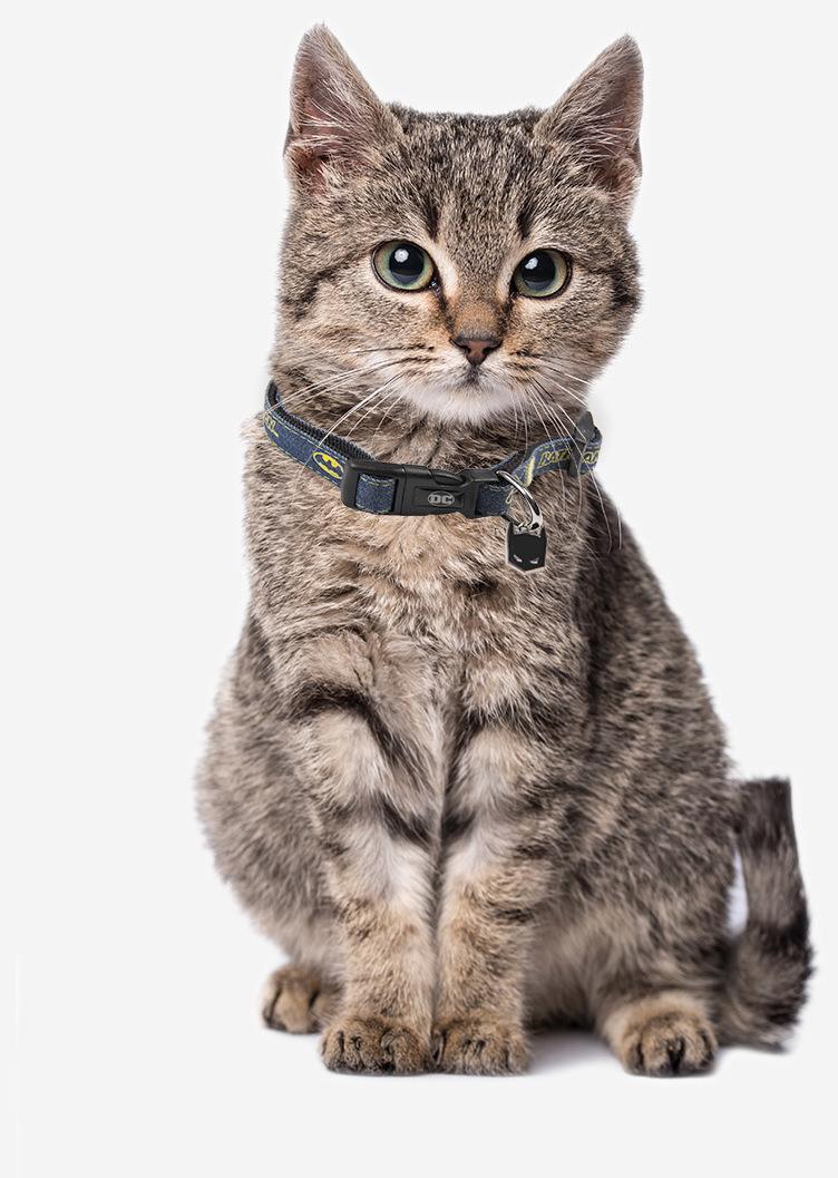 Miscota For Fan Pets Collare Batman Sconto di tempo limitato